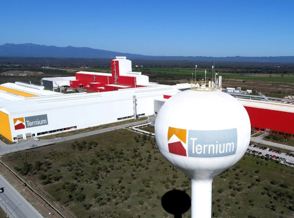 Caso de modernización de software para Bromus y Ternium